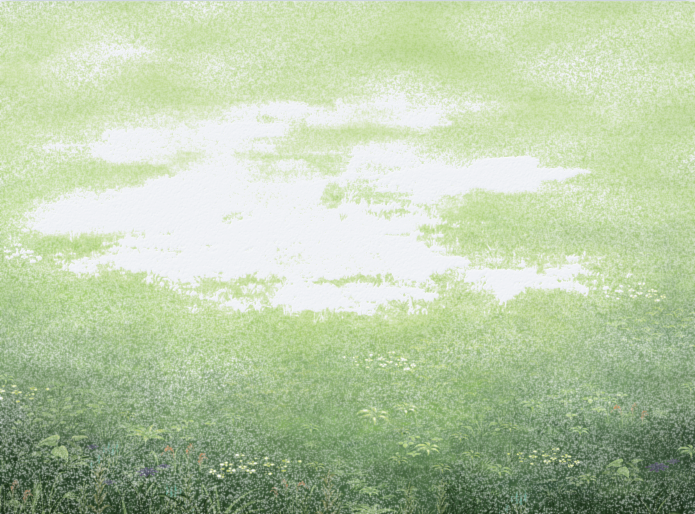 ForesSnow.png
