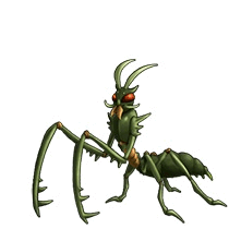 Insect_24b GIF.gif