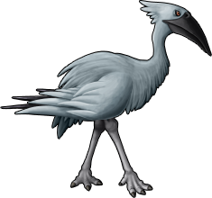 bird_46.png