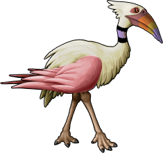 bird_46a.png