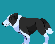 demo.png