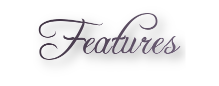Features.png