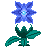 Tear of the Moon Flower.gif