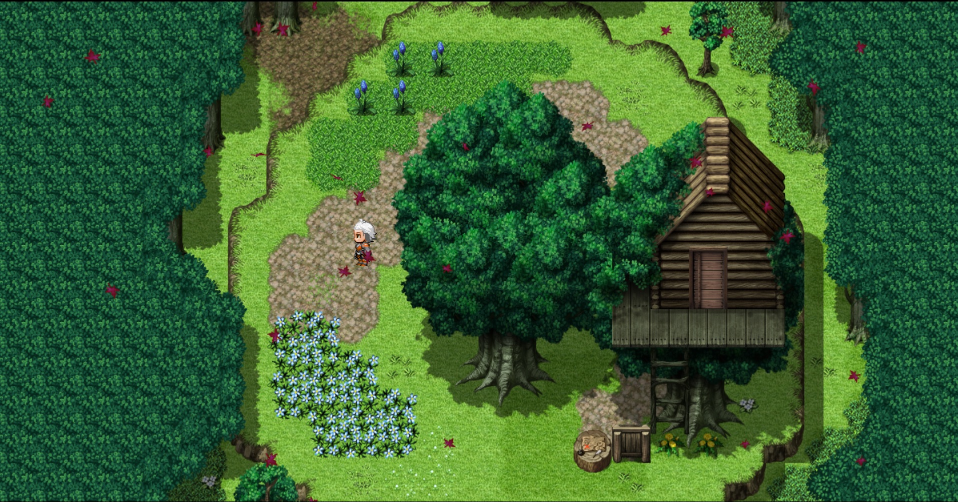FallhornGreatTree_Before.jpg