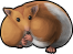 hamster_01.png
