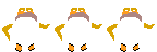 TVD_Clothing_p101_c.png