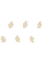 TV_Tail2_p07_c.png