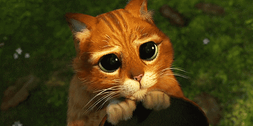 1727480147813.gif