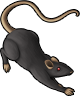 rat_13.png