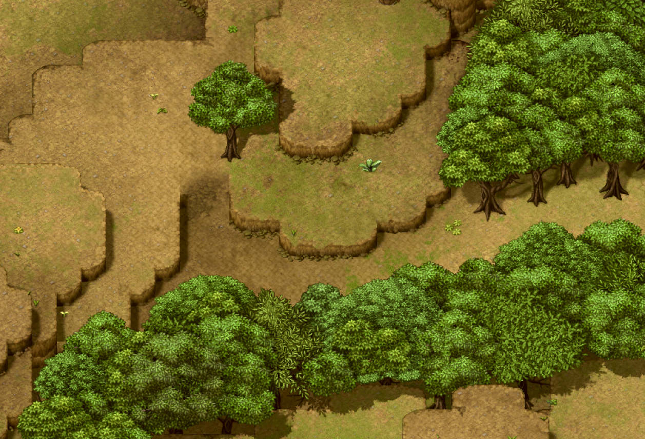 forest.jpg