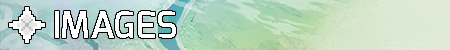 images_banner.png