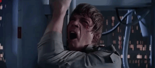 1732997918313.gif