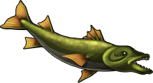 fish_23.png