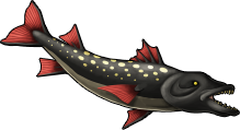 fish_23a.png