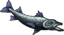 fish_23c.png