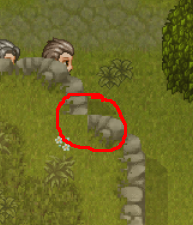 missingCorn1.png