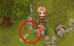 7_Re_RWW.png