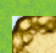 Screenshot 2024-12-20 150448.png