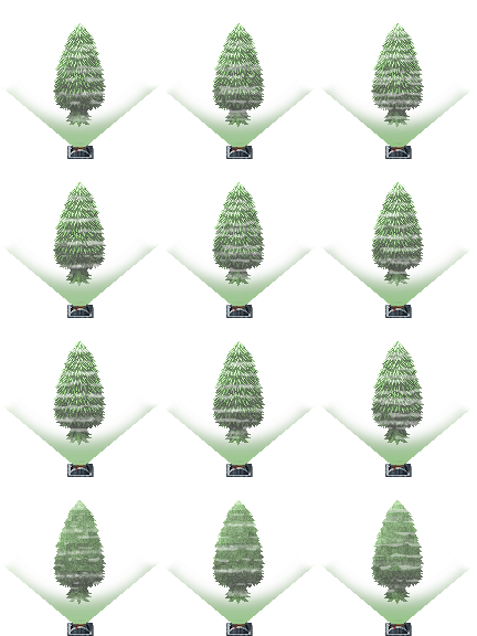 !$Feedbacktrees1.png