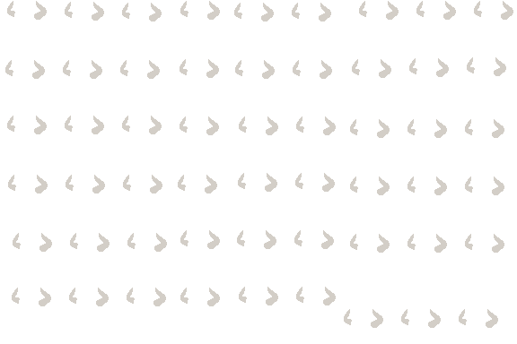 SV_BeastEars_p000019100_c.png