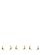 TV_FrontHair2_p000012400.png