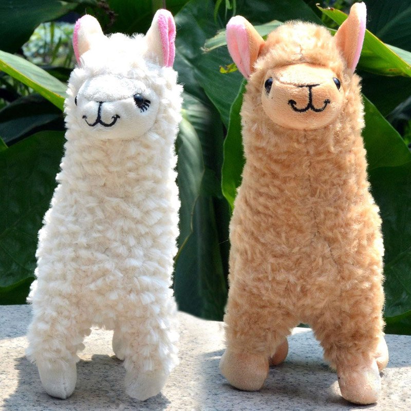 llama.jpg