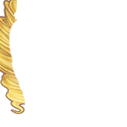 FG_後發2_pv005220_c1_m003.png