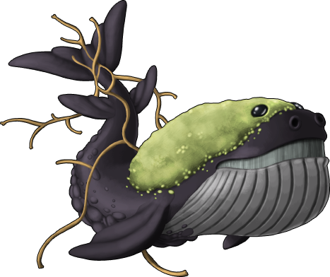 whale_06b.png