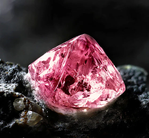 The-Lane-Editorial-Jess-James-12-Pink.png