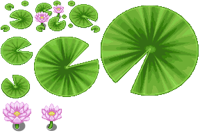 largewaterlilys_AveryMZ.png