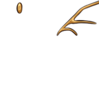 FG_AccB_p1004_c1_m017.png