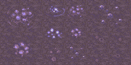 bubble.gif