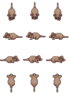 $CuicaAvery.png