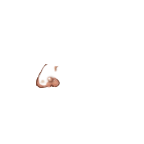 FG_Nose_p20_c1_m001.png