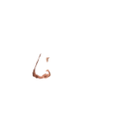 FG_Nose_p18_c1_m001.png