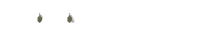 F1.png