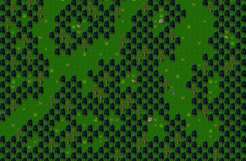 forest.jpg