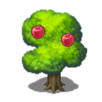 apple tree.png