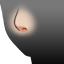 Female Nose Variation.png