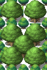 World_AT_Forest_BigTree_SythianBard.png World_AT_Forest_BigTree_SythianBard.png