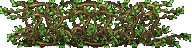 VineHoriz.png