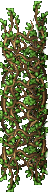 VineVert.png