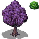 tree.png