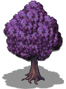 tree-2.png