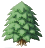 largepine.png