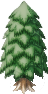 pine.png