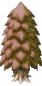 pine_fall.png
