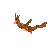 Map025.png