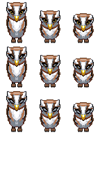 $Owls.png