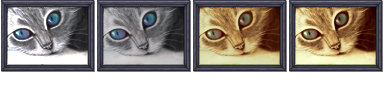 Cats.png Cats.png